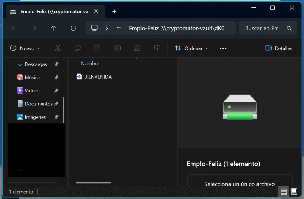 Ventana del explorador de archivos donde nos muestra la unidad montada que ha creado Cryptomator en nuestro equipo.